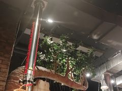 -破瓦寒窑·地摊烤羊排