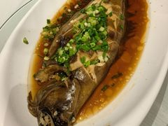 清蒸深海鲽鱼-朝馆·市井本味菜