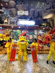 -卡通尼·Safari非洲探索乐园·生日会(金桥国际商业广场店)