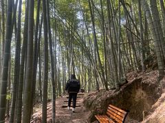 -仙霞关景区