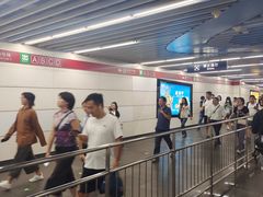 -大望路(地铁站)