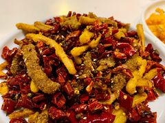 藕遇小鲜肉-付掌柜在成都·热炒砂锅集(金禾店)