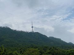 -大雁山风景区