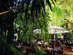 -Fern Forest Cafe