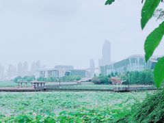 -月湖风景区