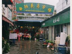 -曲阳花鸟市场(曲阳路店)