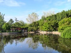 -嘉定紫藤园
