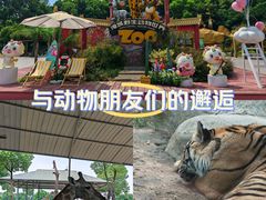 -常州淹城野生动物世界