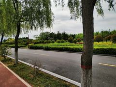 -洨河生态公园
