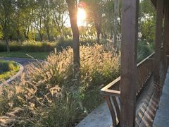 -溱湖国家湿地公园