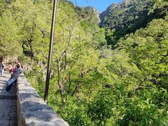 -泰山风景名胜区