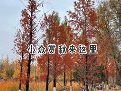 -北宫国家森林公园