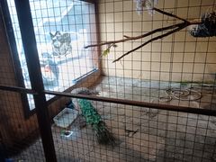-老阿爸江浙土菜(前进东路店)