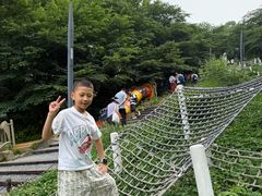 -杭州少年儿童公园