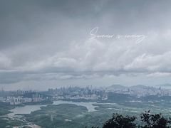 -阳台山森林公园
