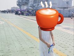 -泰达航母主题公园