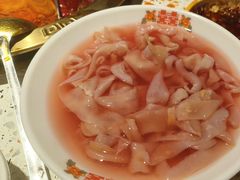 -红九格老火锅(三峡广场店)