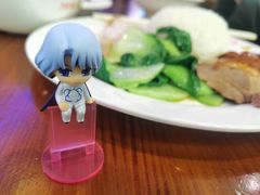 -澳门陈光记烧味饭店(南京德基广场店)