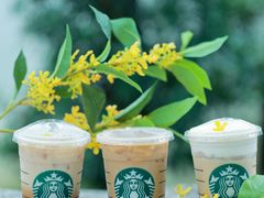 -星巴克臻选(成都宽窄巷子店)