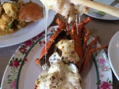 -Red Lobster