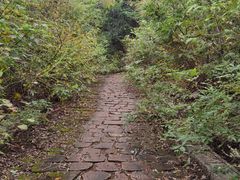 -府君山公园