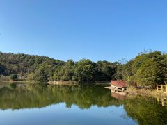 -广州市石门国家森林公园