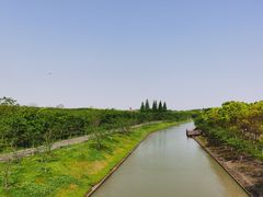 -上海海湾国家森林公园