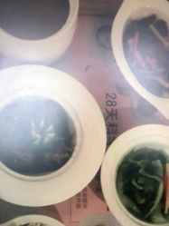 -大美臻喜母婴(南坪店)