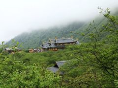 -黄龙山原始森林景区