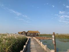 -宁波杭州湾国家湿地公园