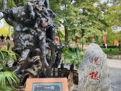 -大槐树寻根祭祖园