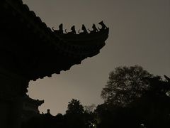 -武汉大学-樱园