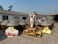 -苏州市吴中区光福窑上花果蜜饯厂