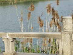 -八大山人梅湖景区