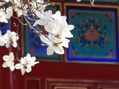 -西安市广仁寺