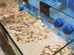 -汉阳廷自助烤肉·火锅(万丰海岸城店)