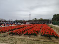 -盈香心动乐园