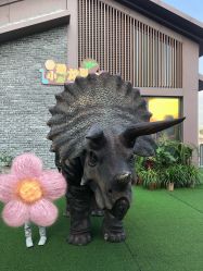 -恐龙探索乐园(磁器口店)