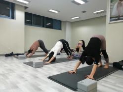 -榕树上·瑜伽普拉提