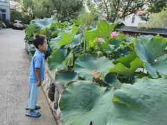 -龚家花园农家乐休闲别墅