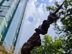 -新疆伊宁远征餐厅