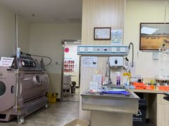 -美联众合动物医院·24h转诊中心