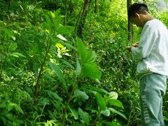 -南京市无想山景区