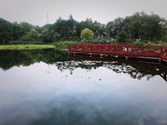 -金银湖国家城市湿地公园