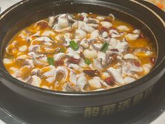 -周渝食惦酸菜鱼(青浦店)