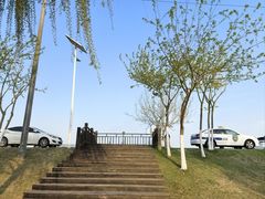 -合肥滨湖国家森林公园