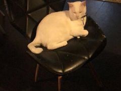 -Doors独立剧情密室(东门分店)