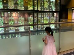 -广东中医药博物馆