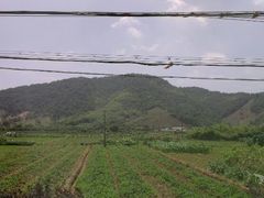 android_upload_pic-宁波浙东大竹海景区