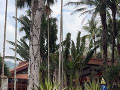 -七仙岭君澜度假酒店